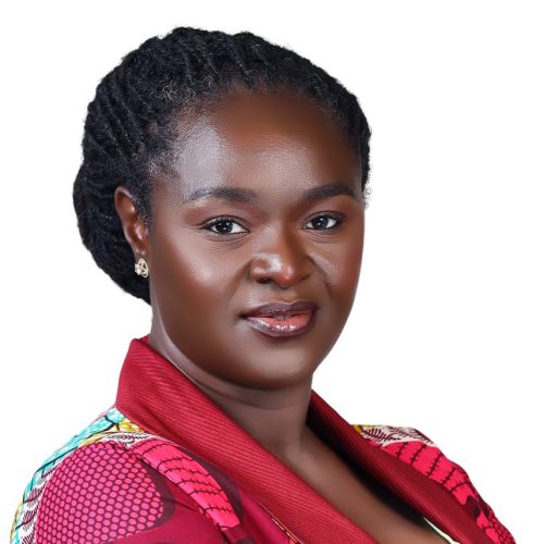 Prof. Nana Ama Browne Klutse Prof. Nana Ama Browne Klutse
